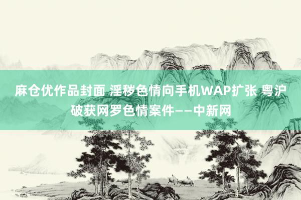 麻仓优作品封面 淫秽色情向手机WAP扩张 粤沪破获网罗色情案件——中新网