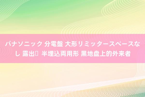 パナソニック 分電盤 大形リミッタースペースなし 露出・半埋込両用形 黑地盘上的外来者