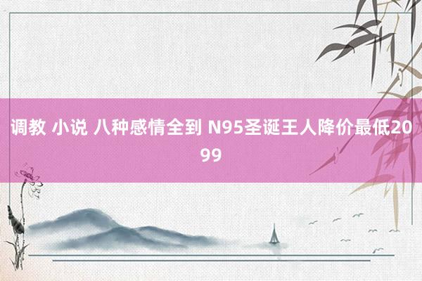 调教 小说 八种感情全到 N95圣诞王人降价最低2099