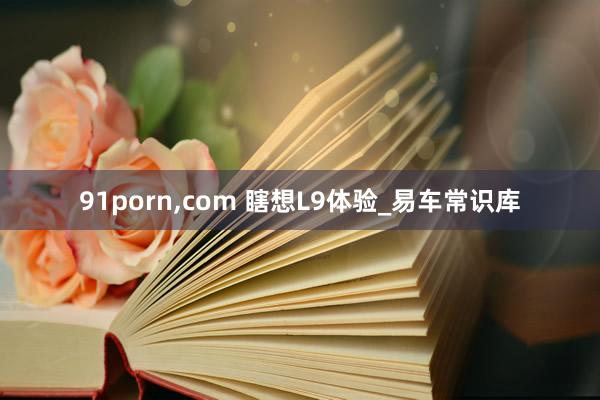 91porn，com 瞎想L9体验_易车常识库