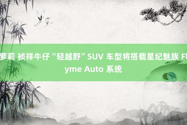 萝莉 祯祥牛仔“轻越野”SUV 车型将搭载星纪魅族 Flyme Auto 系统