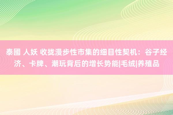 泰國 人妖 收拢漫步性市集的细目性契机：谷子经济、卡牌、潮玩背后的增长势能|毛绒|养殖品